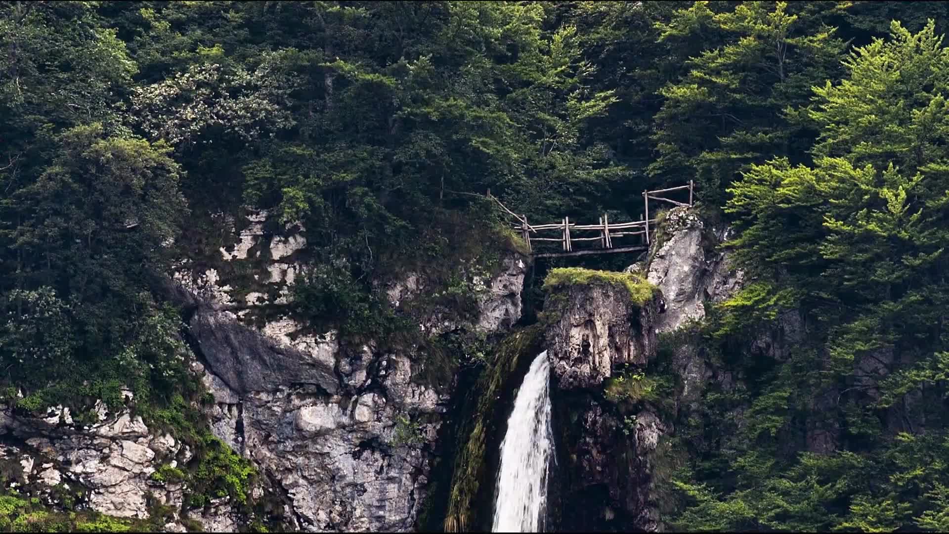 峡谷瀑布森林阳光视频的预览图