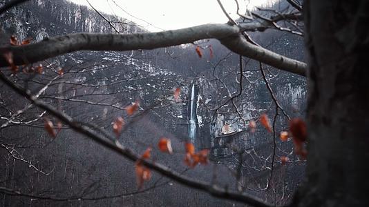冬季山谷红叶瀑布积雪视频的预览图