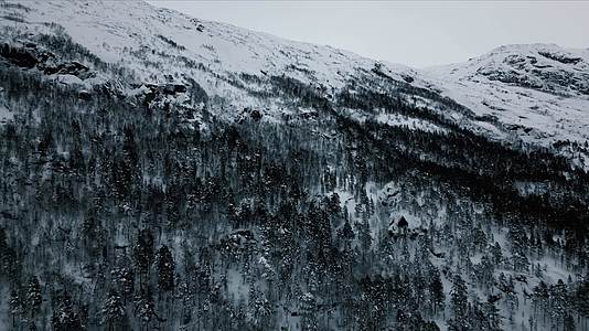冬季群山森林湖泊冰天雪地航拍视频的预览图