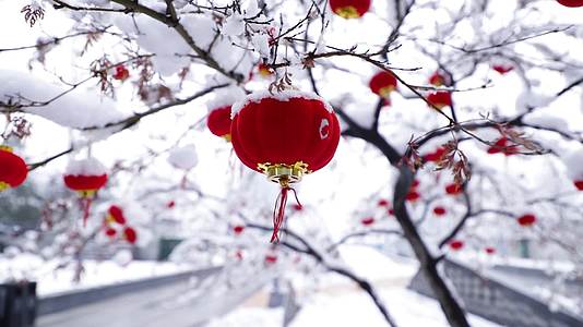 唯美春节雪景中红灯笼视频的预览图