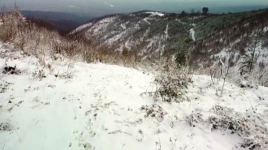 冬季森林群山积雪航拍视频的预览图