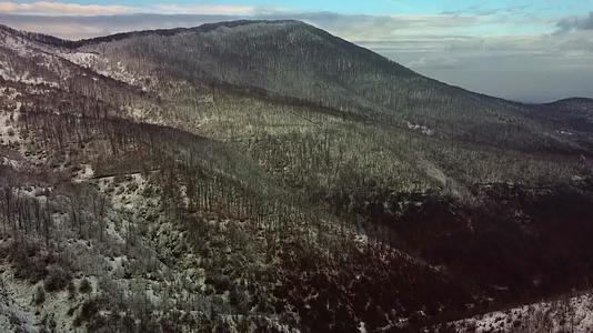 冬季森林群山积雪航拍视频的预览图