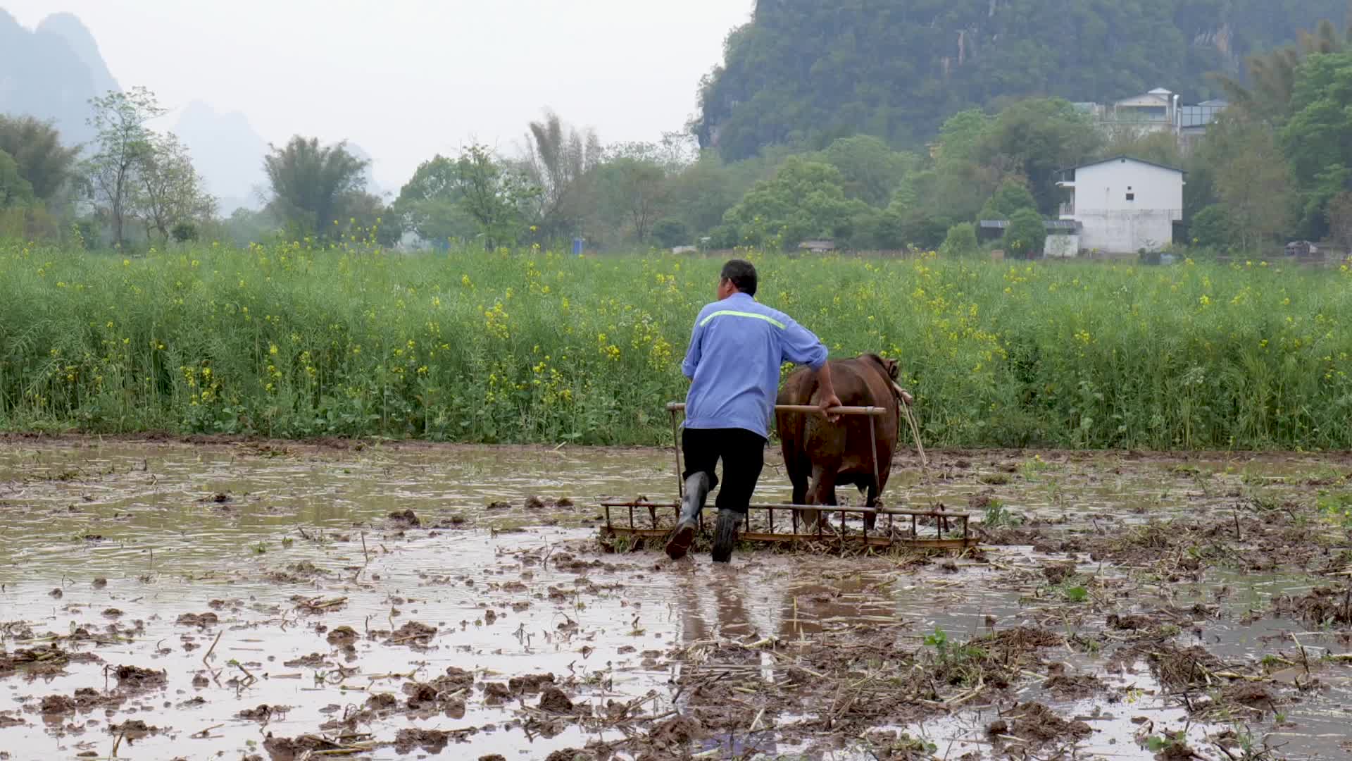 农村传统农耕视频的预览图
