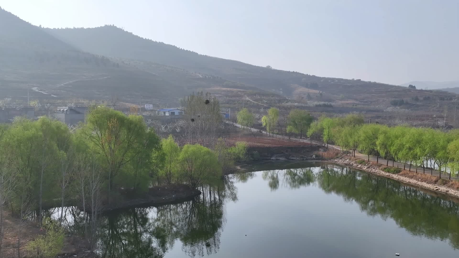 湖泊水库石桥水鸭子视频的预览图