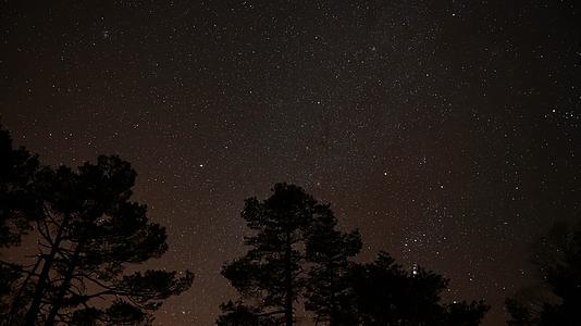 夜晚森林星空延时唯美繁星视频的预览图