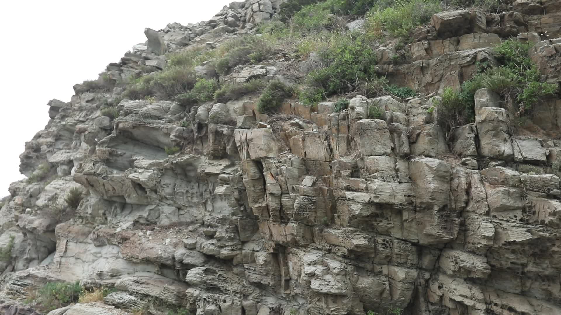 大连蛇岛崖壁视频的预览图