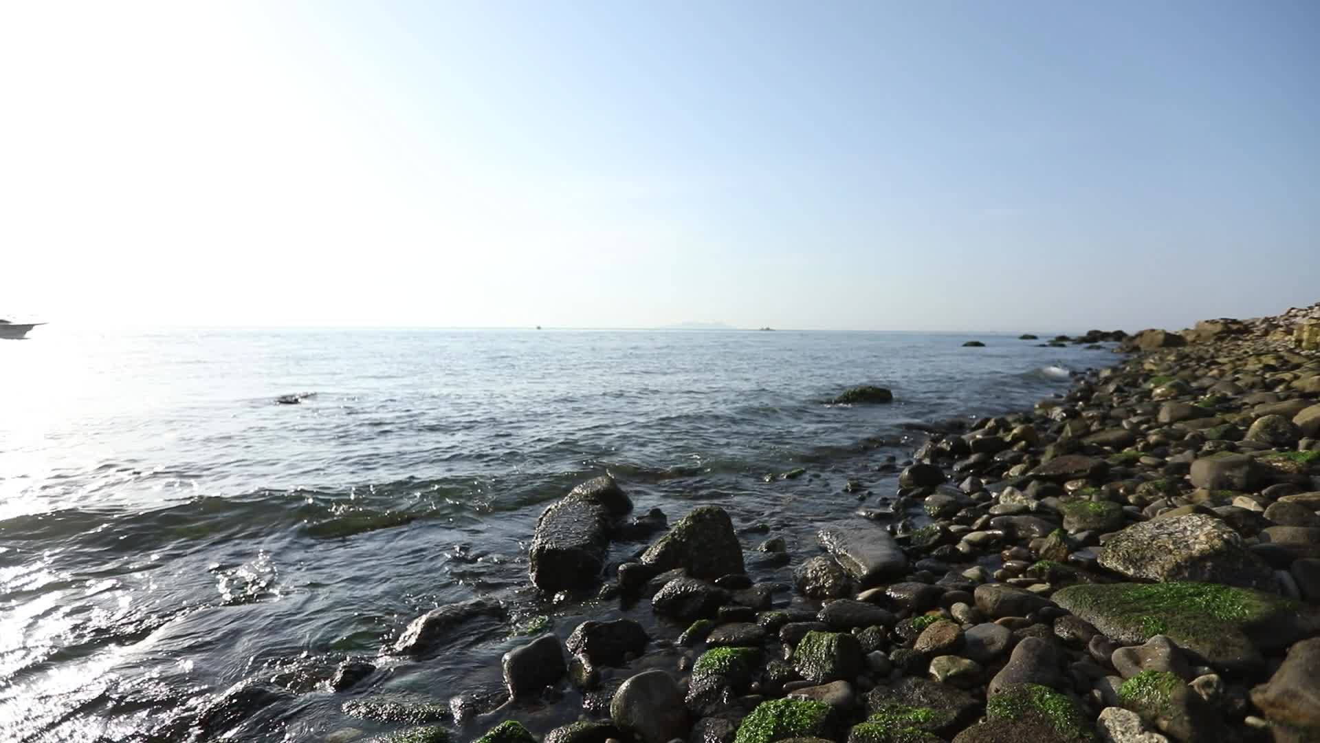 大连蛇岛海岸边礁石视频的预览图