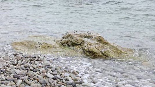 大连蛇岛海浪拍打岩石视频的预览图