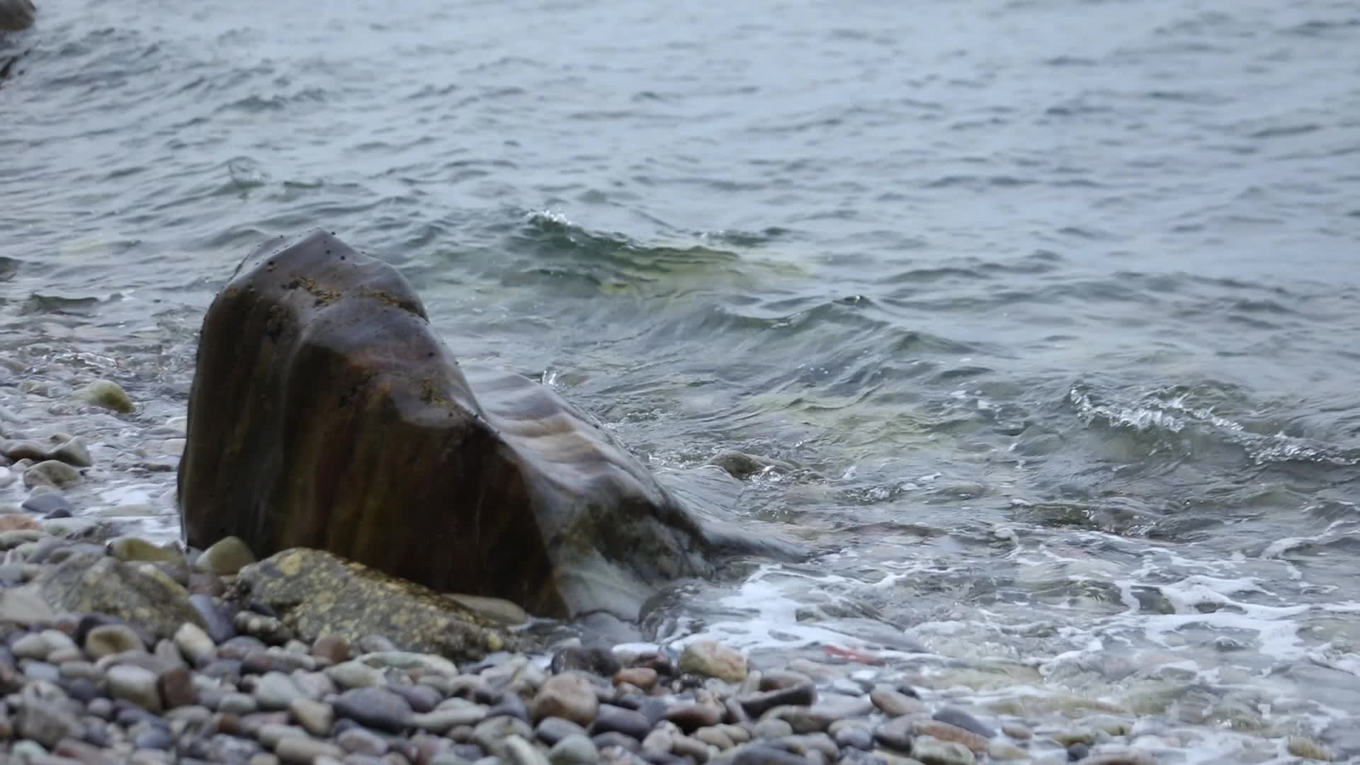 海边涨潮落潮冲刷岩石视频的预览图