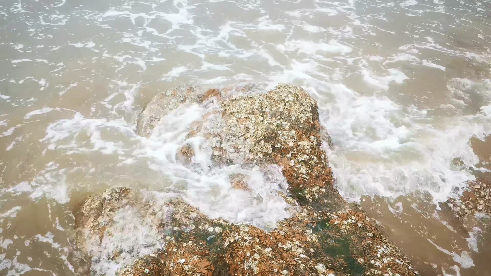 实拍大海海浪沙滩礁石视频的预览图