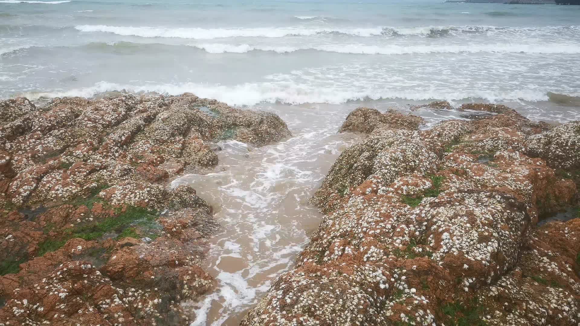 大海海浪沙滩礁石风景实拍视频的预览图
