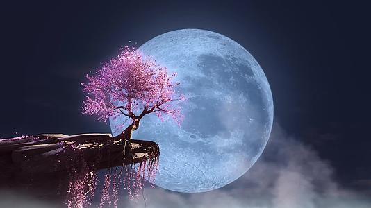 LED超清背景视频舞台背景晚会动态视频背景歌舞神话月圆之夜悬崖上的桃花树唯美意境视频的预览图