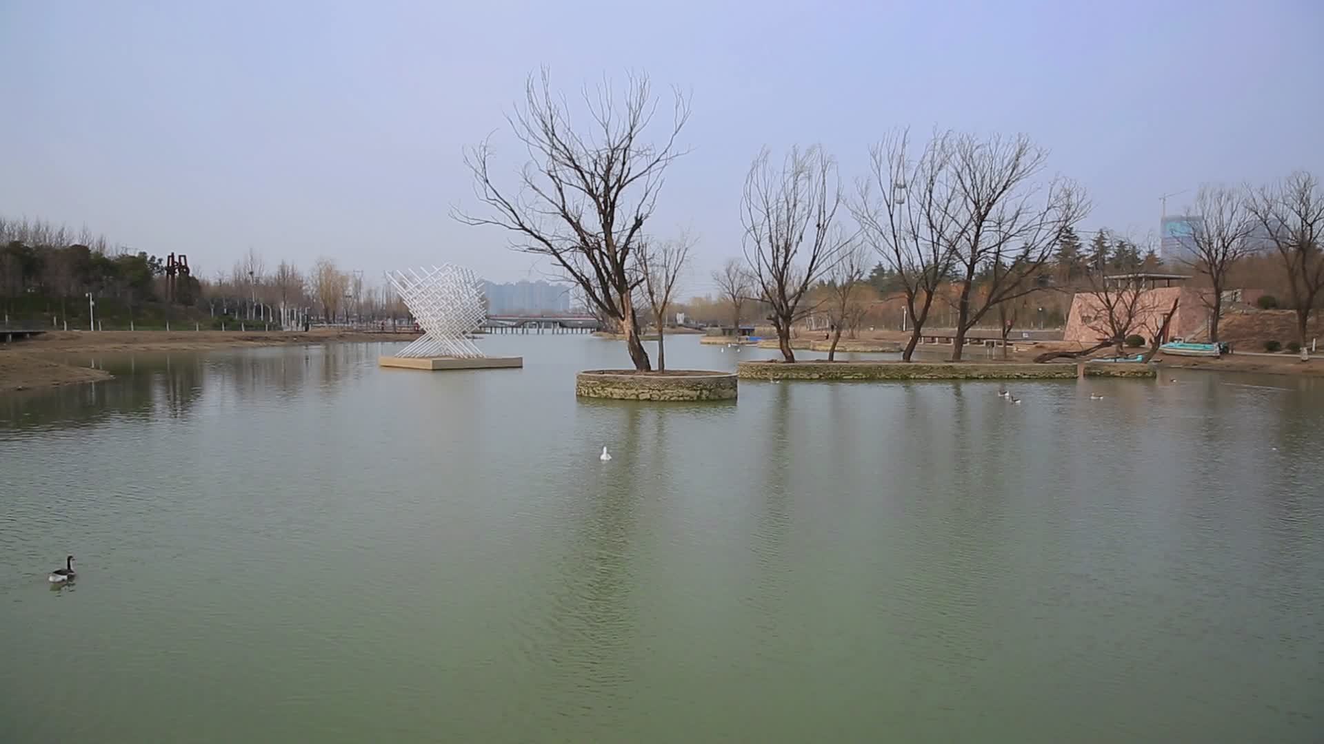 自然风景湖泊景观视频的预览图