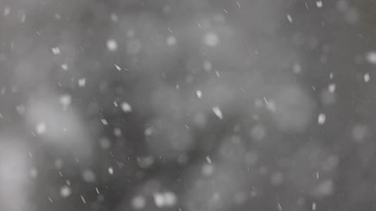 冬季森林雪花唯美慢镜头视频的预览图