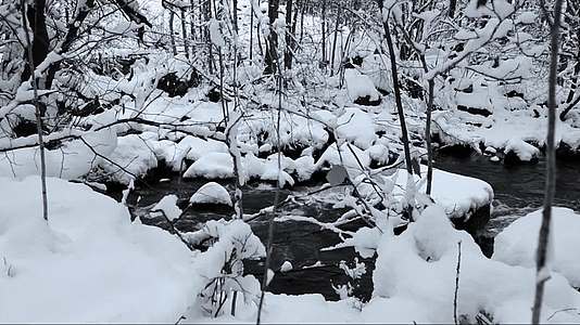 冬季森林溪流积雪雪景合集视频的预览图