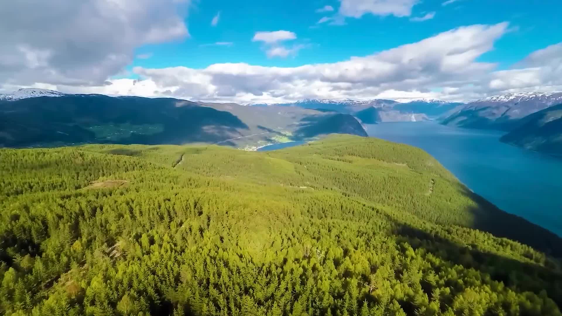 航拍风景森林树林雨林春天自然环境地理地貌蓝天白云湖泊山林视频的预览图