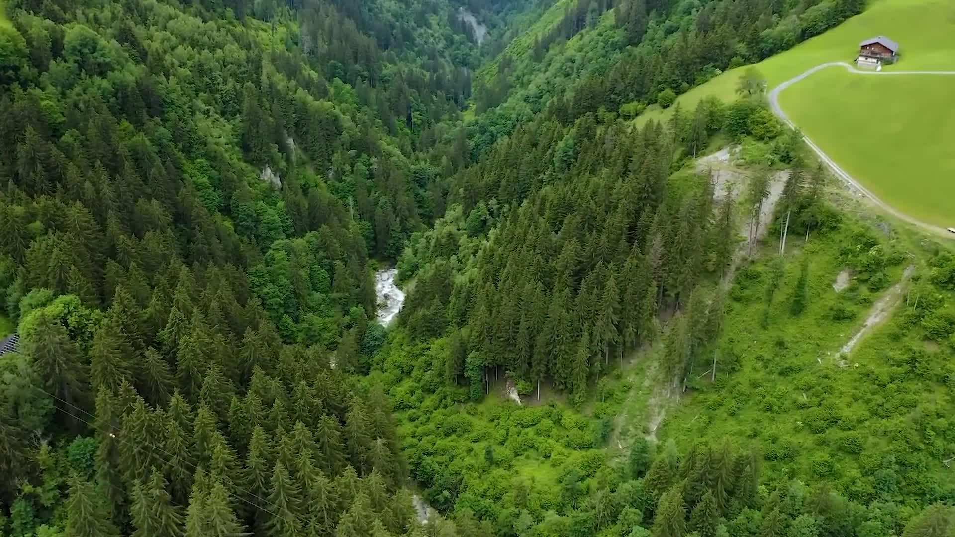 航拍风景森林树林雨林春天大自然环境地理地貌绿水青山金山银山视频的预览图