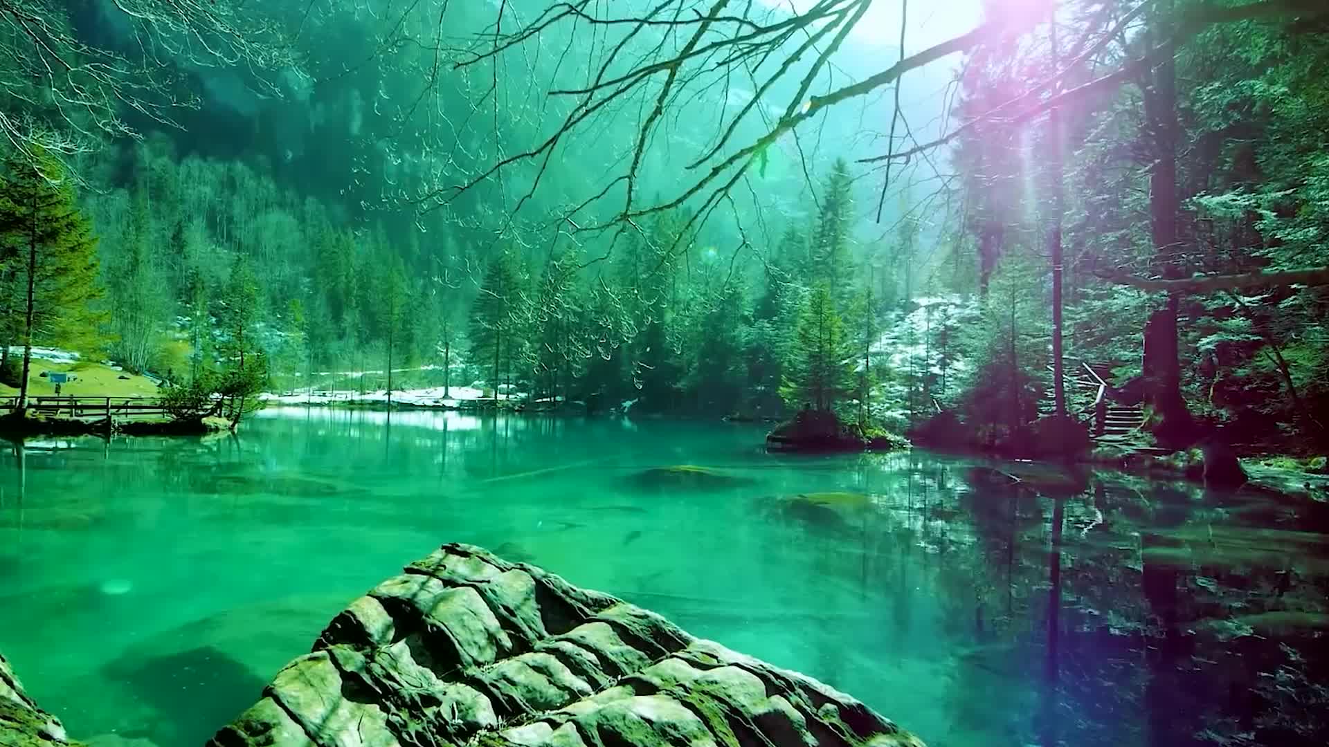 自然环境风光风景绿水青山山川湖泊碧绿森林树林雨林逆光视频的预览图