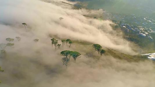 航拍风景林海云海森林树林雨林春天大自然环境地理地貌云雾缭绕视频的预览图
