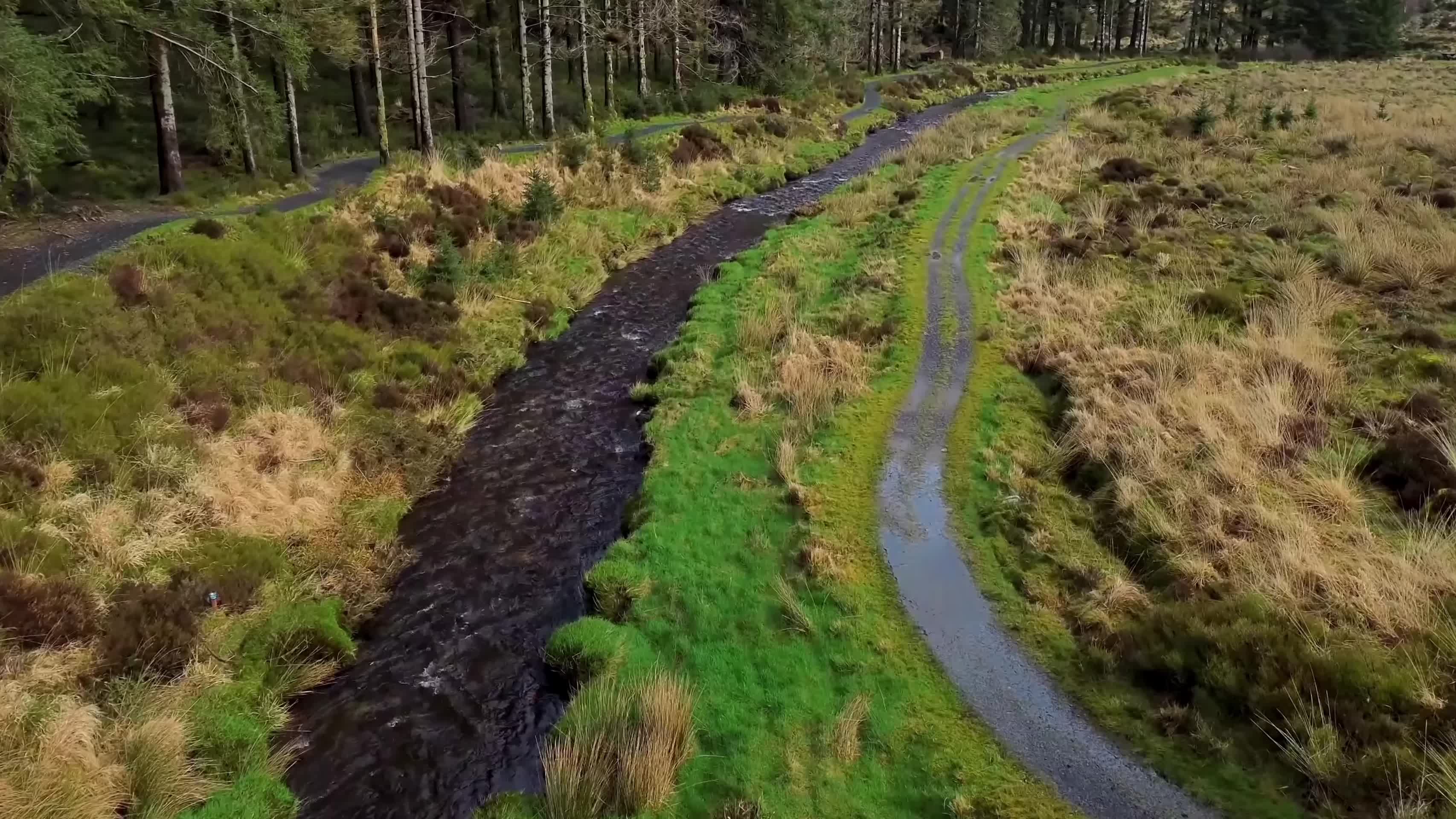 森林小路河流航拍视频的预览图