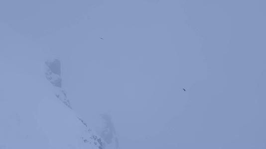 冬季山谷老鹰黑鸟天空飞翔情绪空镜视频的预览图