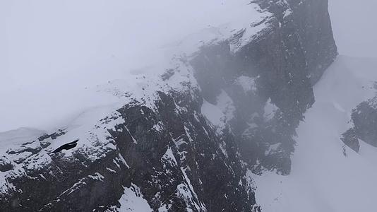 寒冬大雪乌鸦黑鸟群山风雪中飞行视频的预览图