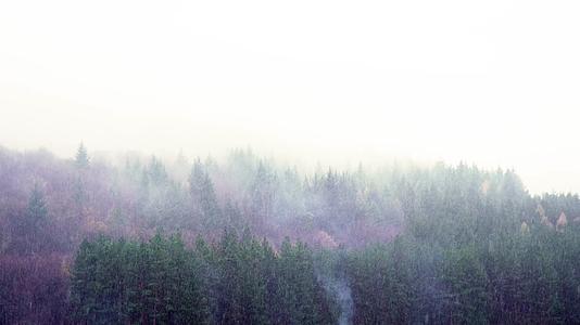 冬季森林大雪飘落炊烟升起视频的预览图