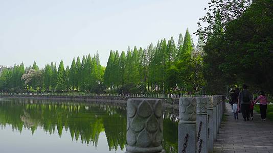 长沙烈士公园湖边空镜视频的预览图