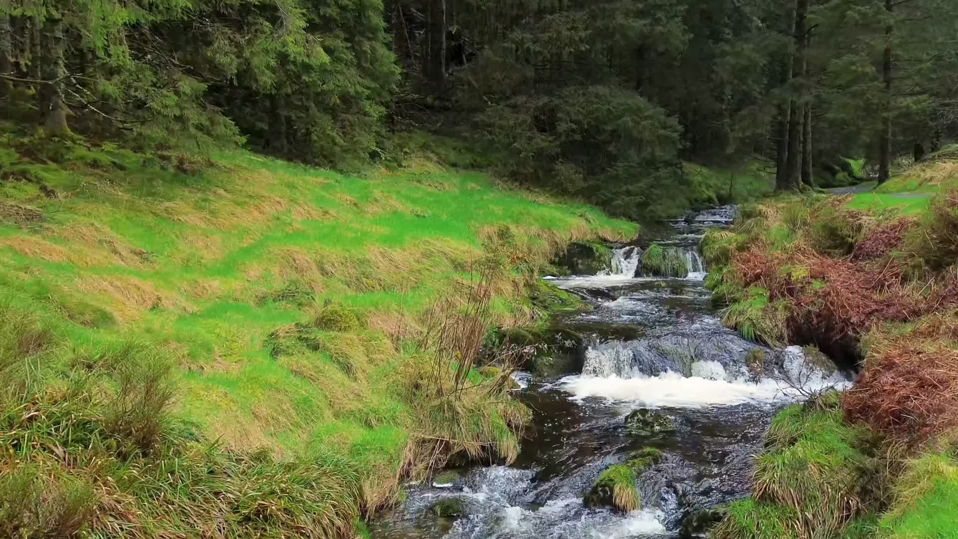 森林溪水瀑布航拍视频的预览图