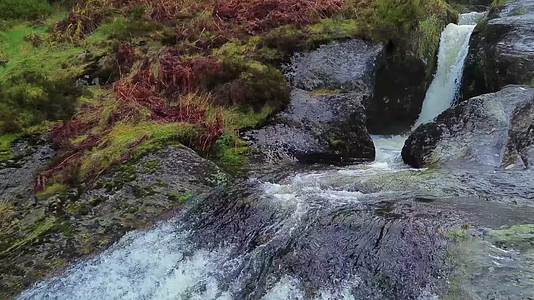 森林溪水瀑布航拍视频的预览图