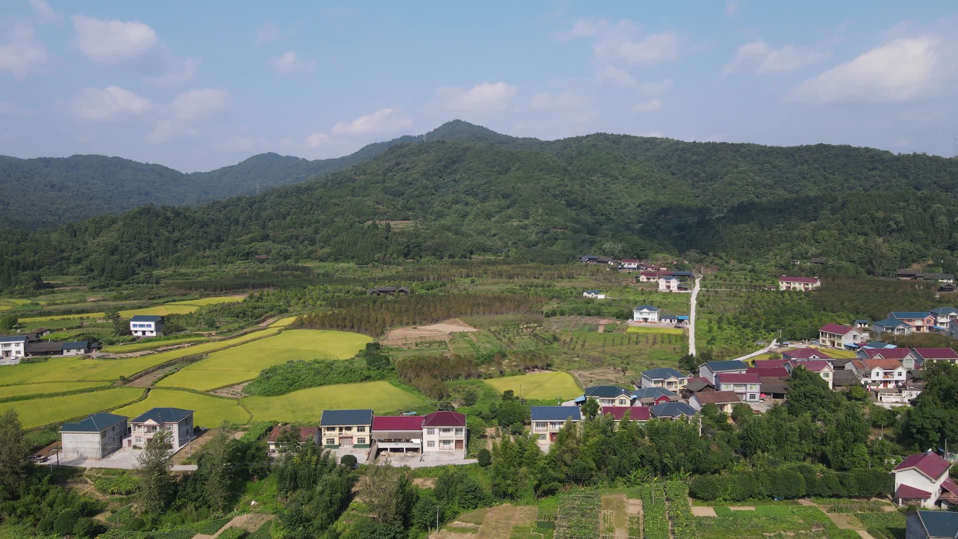 美丽乡村田园农田农业种植航拍视频的预览图