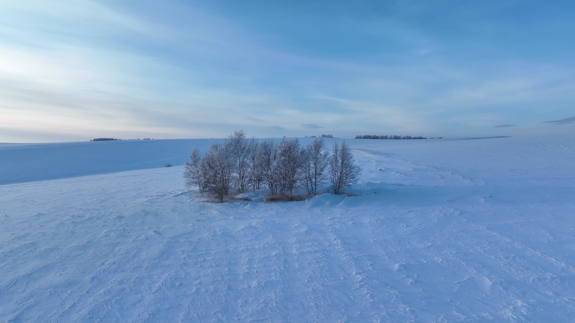 呼伦贝尔寒冷冬季丘陵山区雪原风光视频的预览图