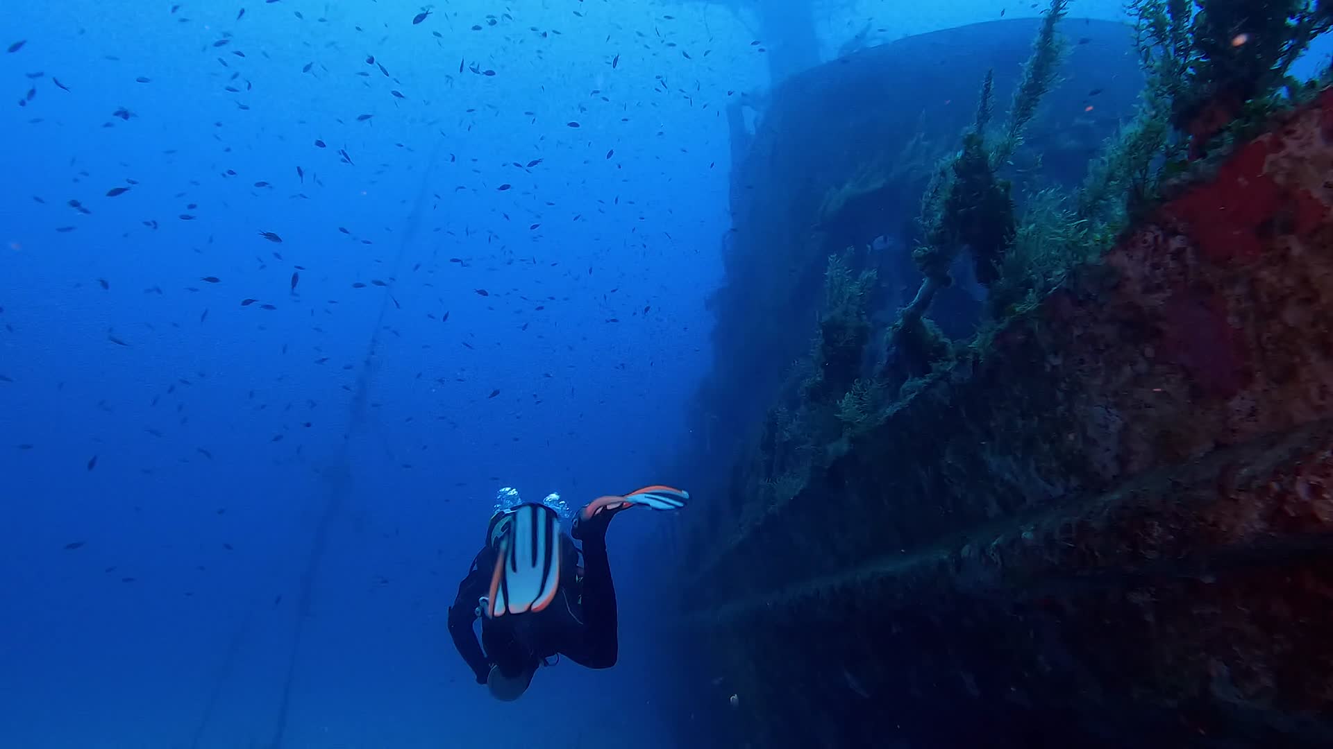 海底沉船潜水视频的预览图