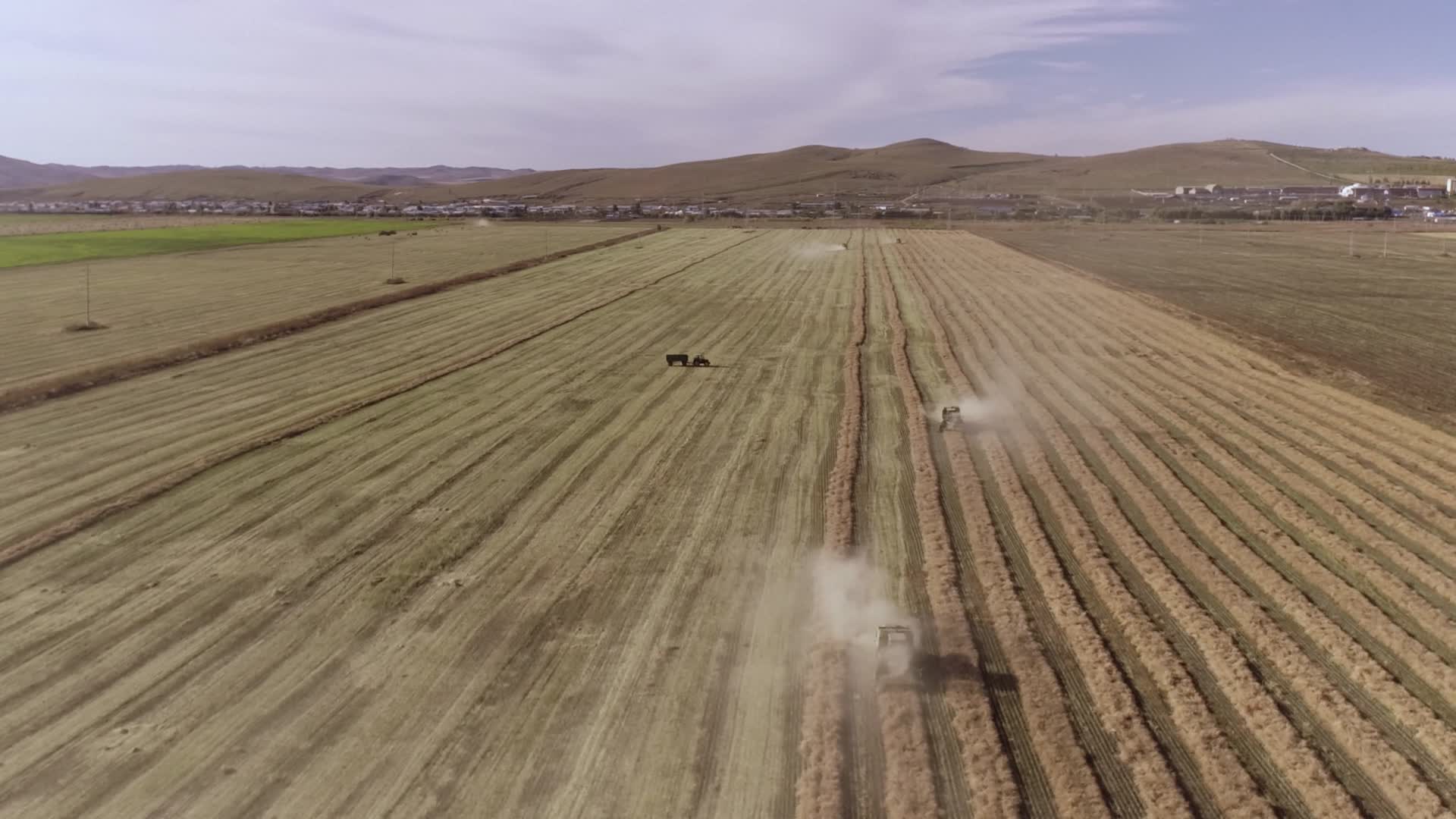 油菜丰收大型农机作业现场视频的预览图