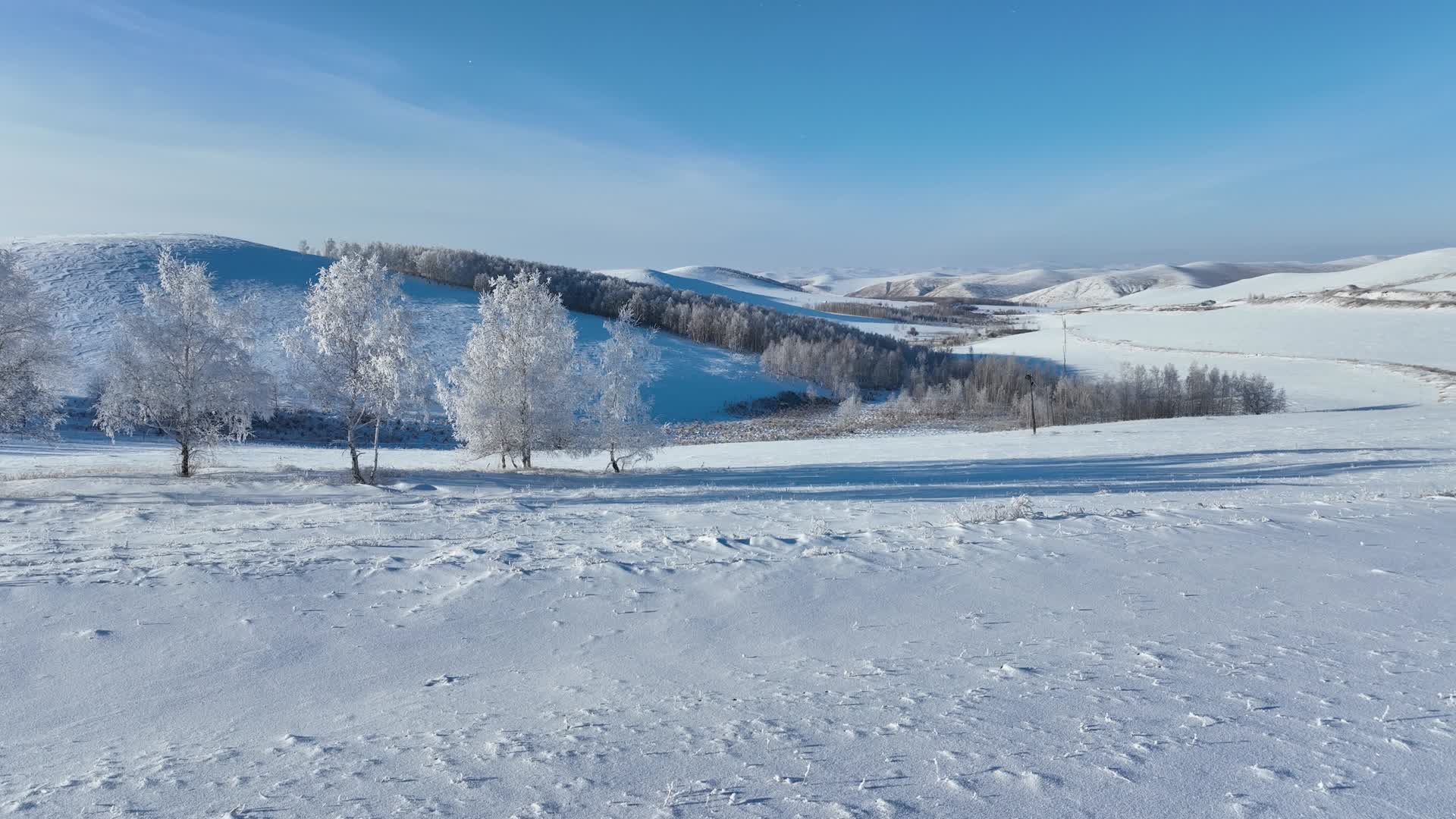 北方寒冬丘陵山区雾凇雪景视频的预览图