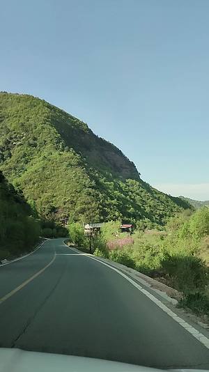山间道路两旁的美丽风景视频的预览图
