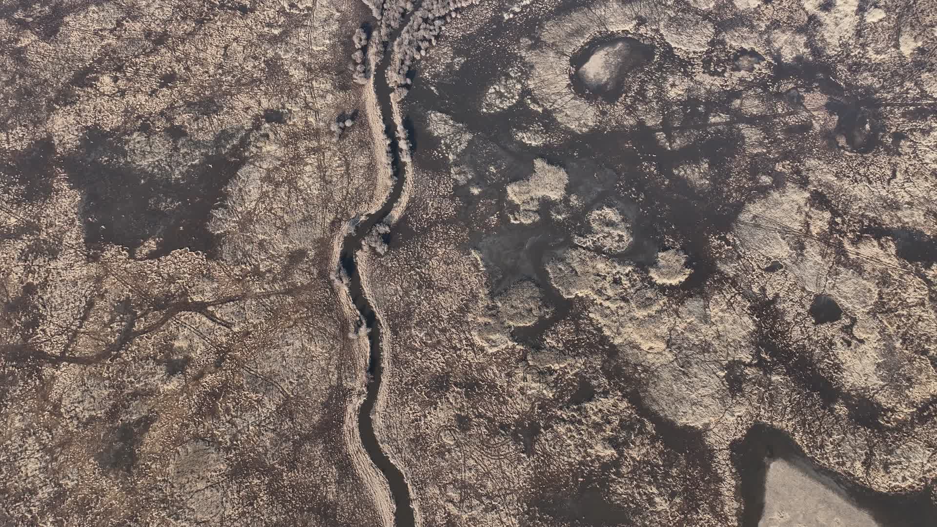 航拍呼伦贝尔春天黄色草原湿地视频视频的预览图