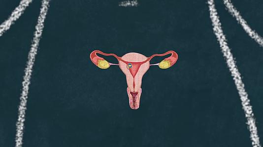 卵巢排卵自然受孕女性怀孕动画视频的预览图