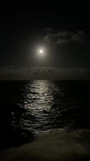 夜色海浪明月视频的预览图