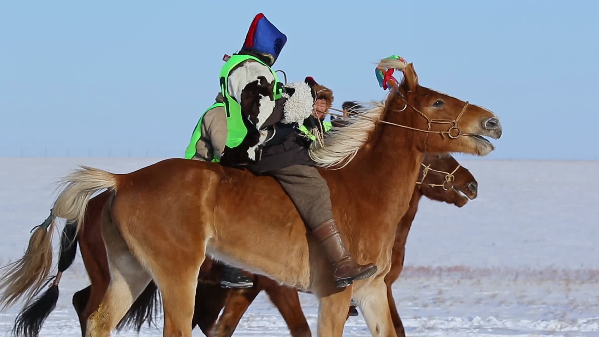 航拍即将成为竞技对手悠然入场的蒙古骑手视频的预览图