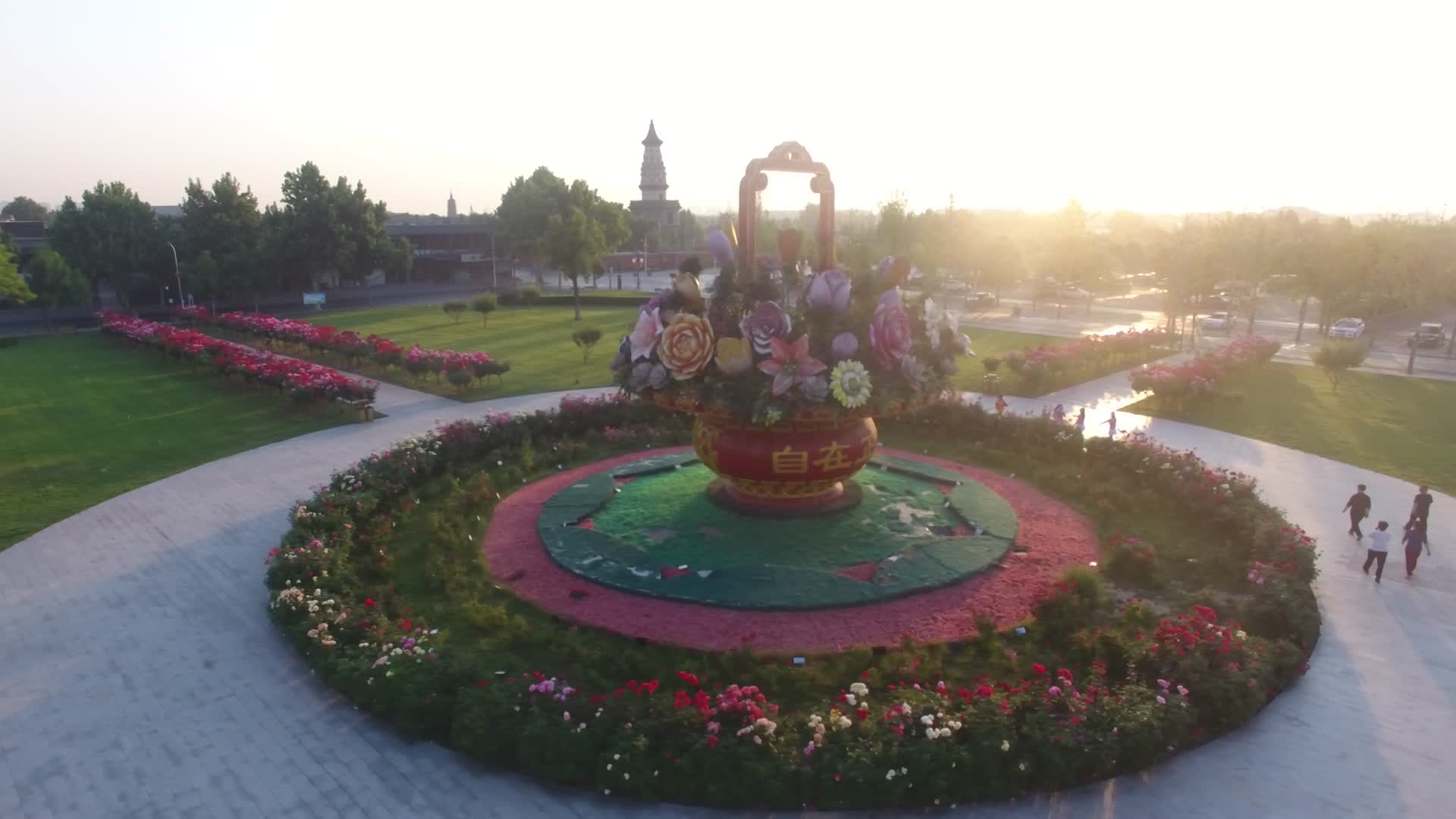 航拍正定南门花篮广场月季鲜花盛开4视频的预览图