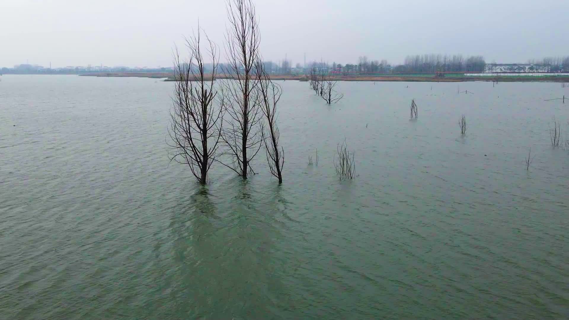 安徽农村河水视频的预览图