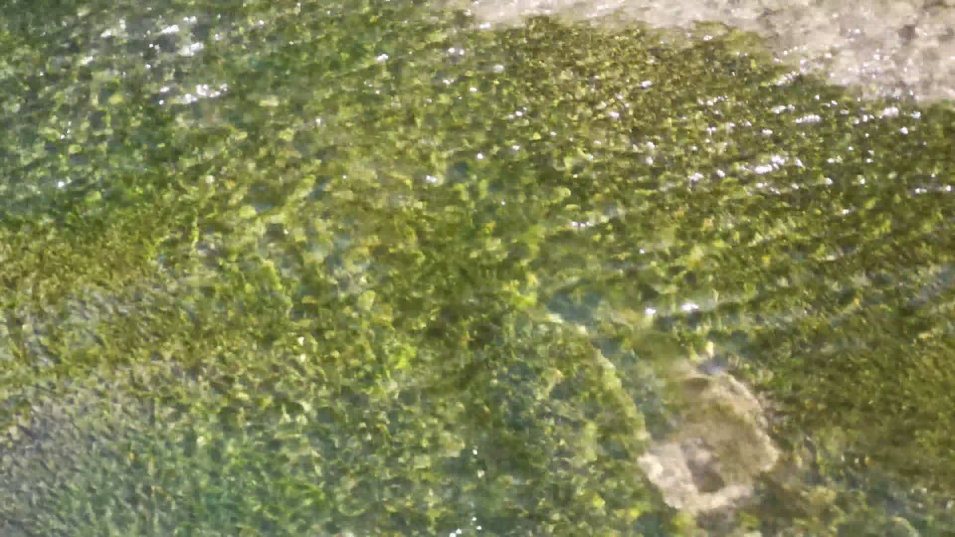 山间瀑布流水实拍视频的预览图