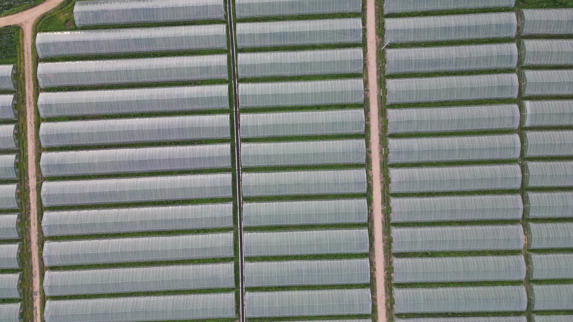 乡村田园农业种植航拍视频的预览图