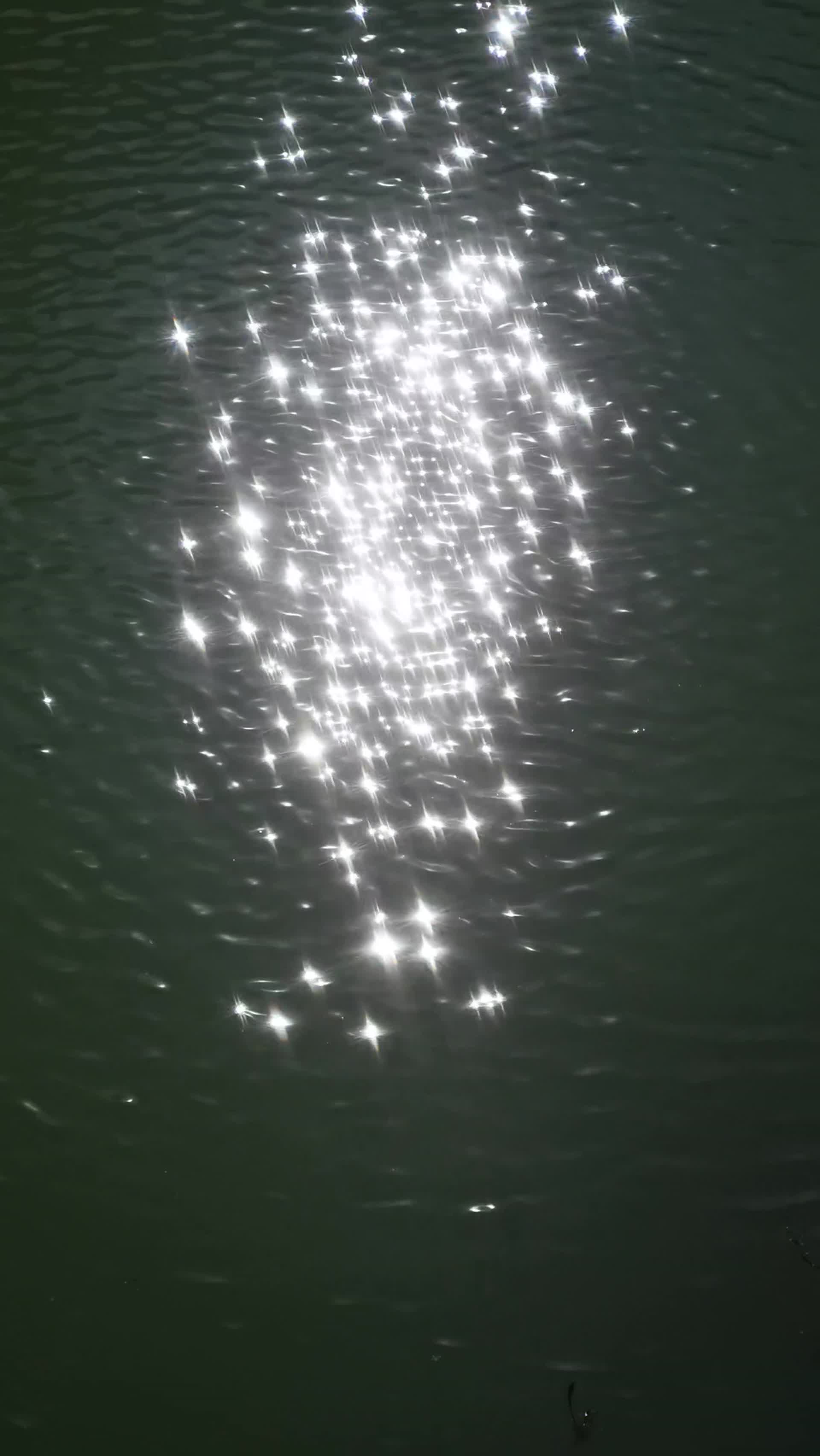 实拍湖面波光视频的预览图