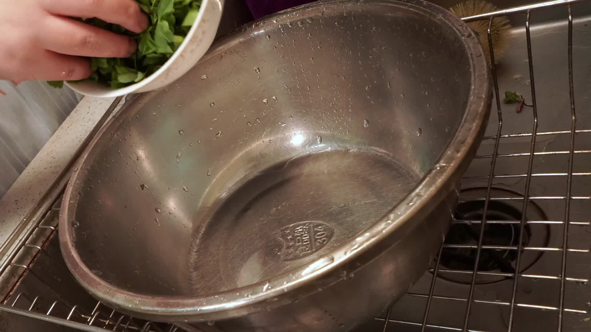 处理马齿苋野菜清洗视频的预览图
