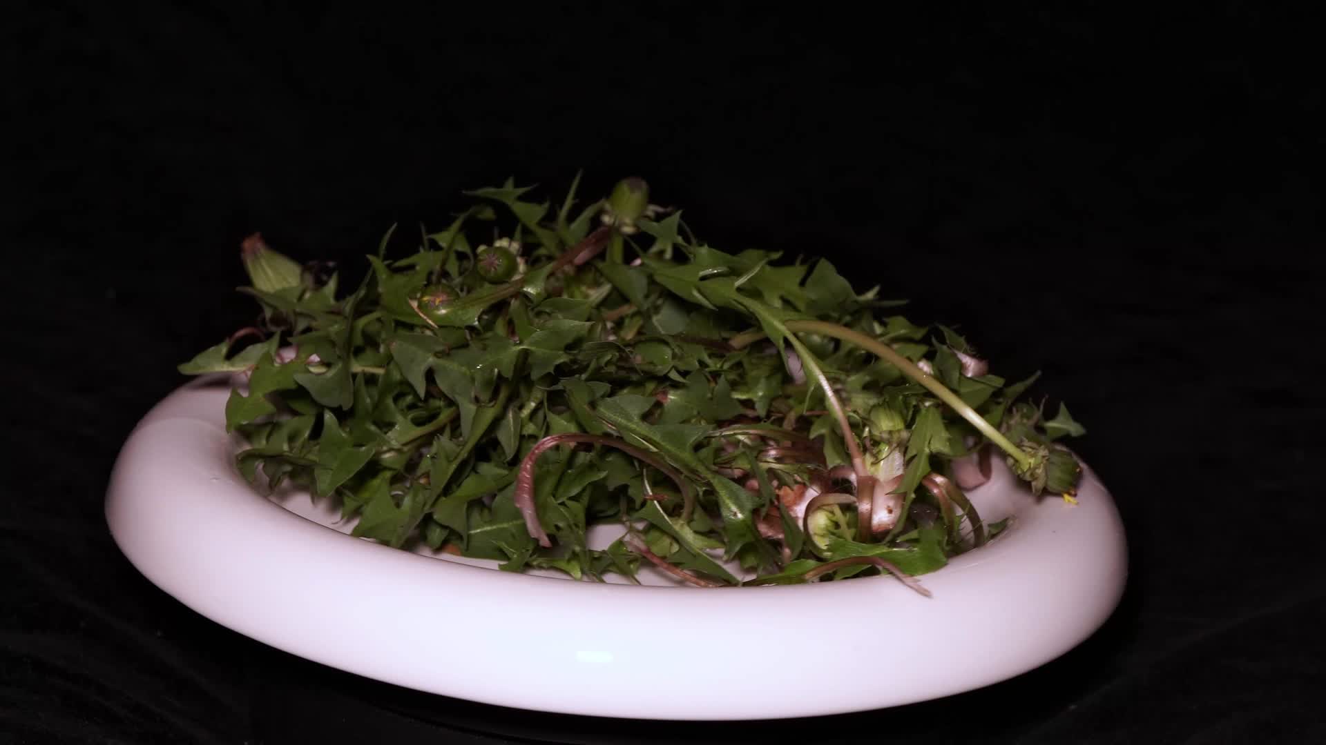 春季野菜马齿苋蒲公英视频的预览图