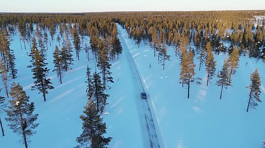 冬季大雪汽车在森林公路上行驶视频的预览图