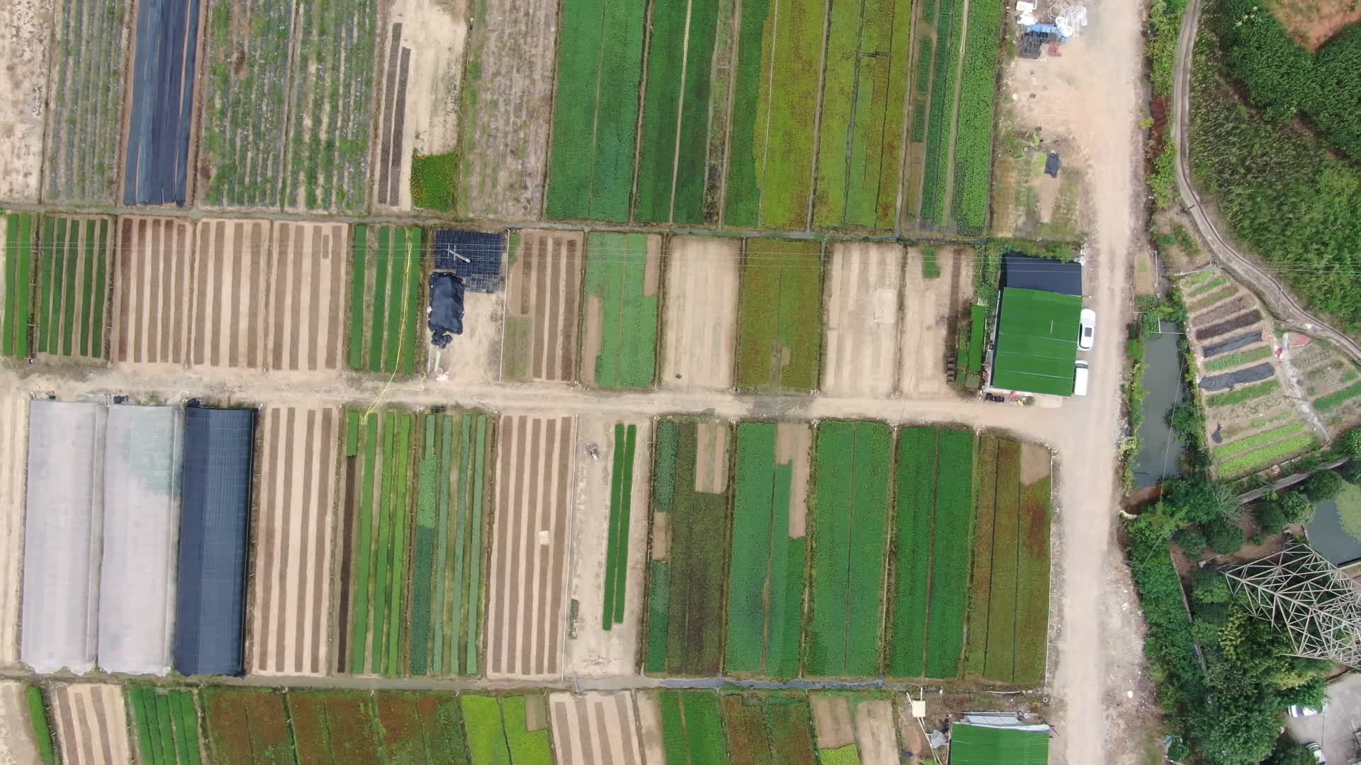 花卉种植基地农业发展航拍视频的预览图