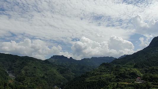 湖南张家界蓝天白云森林植物航拍视频的预览图